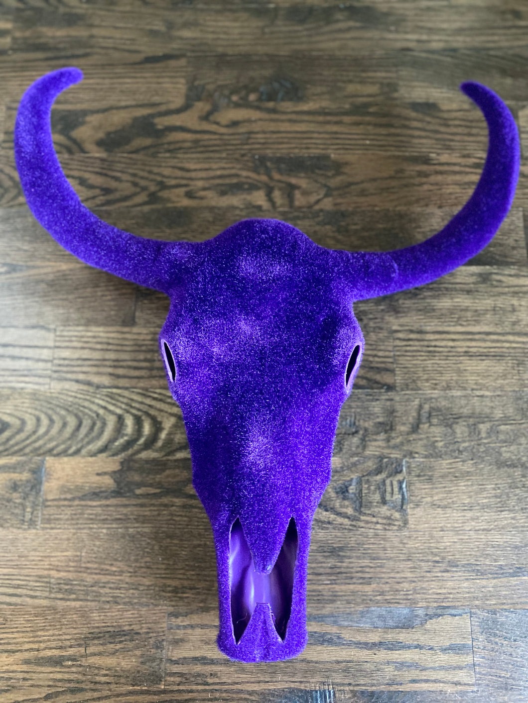 Flocked Longhorn Skull Wallmount
